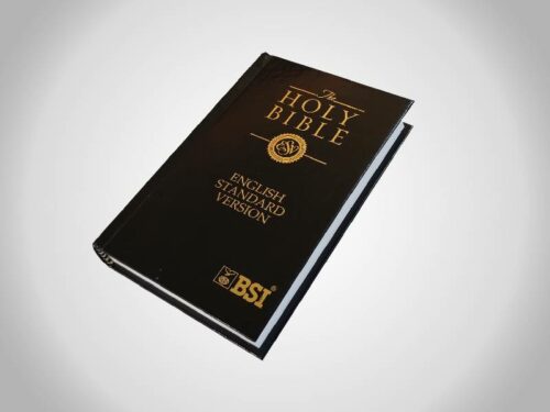 The Holy Bible | ESV | Compact Size (17.5 X 11.5 X 2.5 cm)