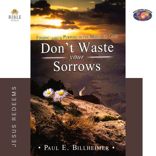 DON'T WASTE YOUR SORROWS | PAUL E. BILLHEIMER