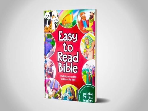 EASY TO READ BIBLE